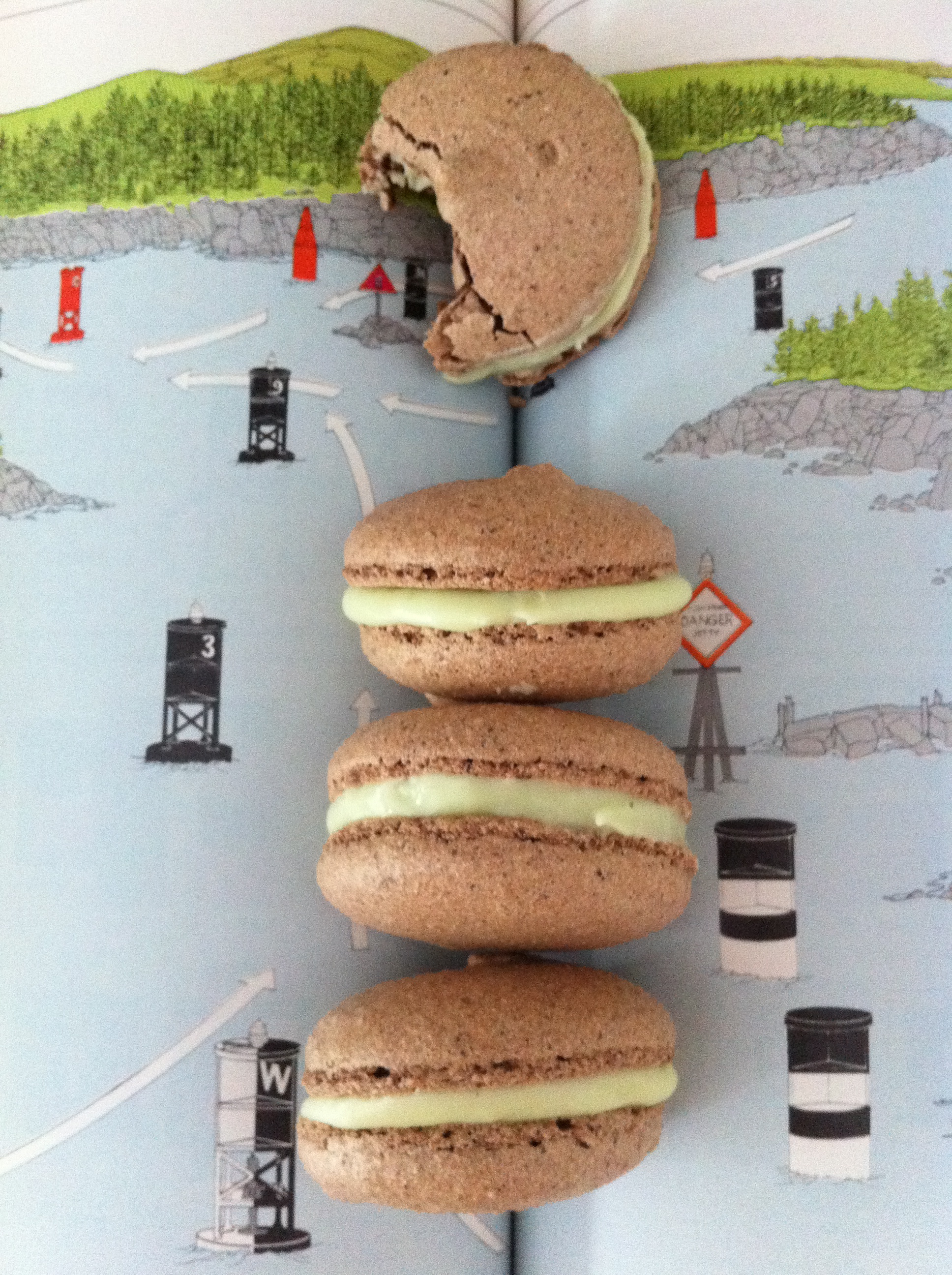 chocolate ginger macaron recipe ann reardon